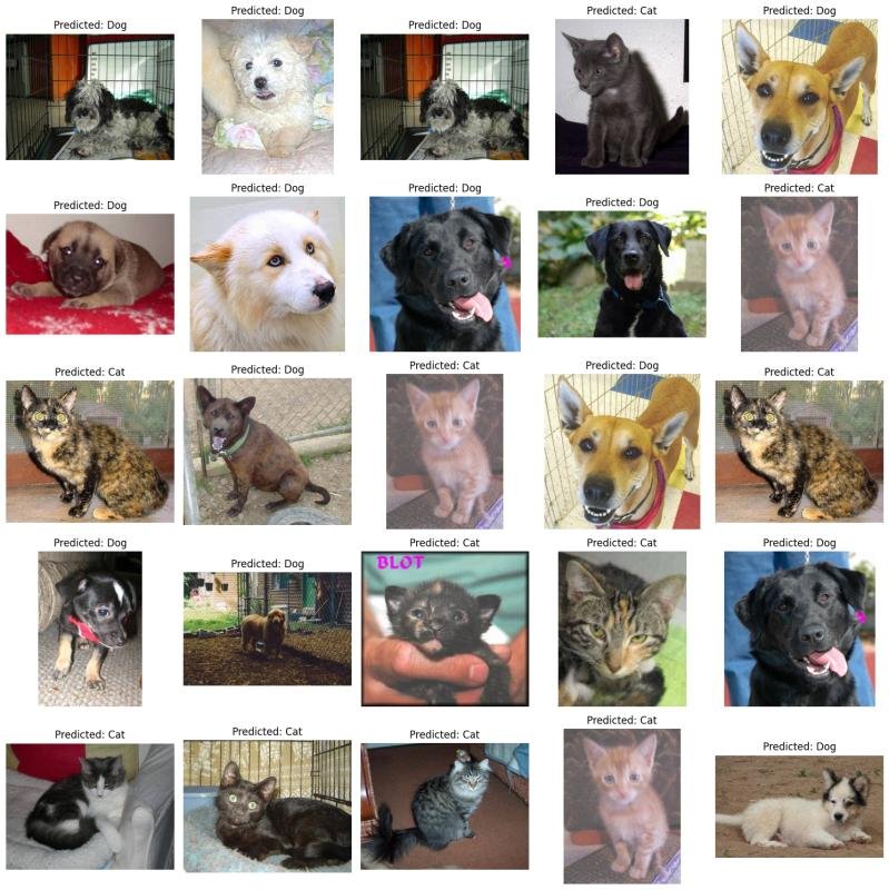 Cats vs Dogs Classifier
